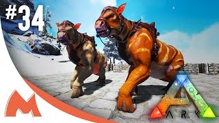 ARK Survival Evolved  CHALICOTHERIUM TAMING amp EXPLORER NOTES PATCH v248 S2E34 [upl. by Pierre]