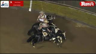 El resumen de la Serie Potros del 75° Campeonato Nacional de Rodeo [upl. by Ahsenre]