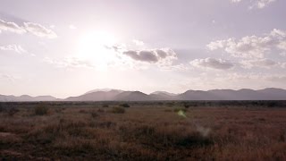 NE Border Circuit  Usambaras  Mkomazi National Park  Pare Mountains [upl. by Suirad]