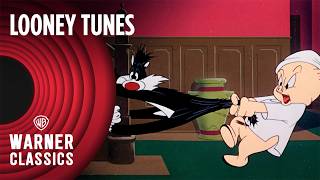 Looney Tunes  Scaredy Cat 1948 Full Episode  Warner Classics [upl. by Middle521]