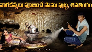 నాగకన్యలు పూజలు చేసే రహస్యమైన గుహ  Nagakanyalu Caves [upl. by Sakovich]