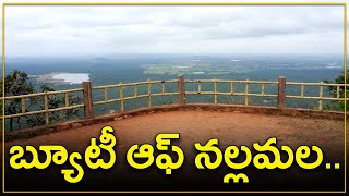 Nallamala Forest Beautiful Visuvials  Telangana Tourism  Tiger Safari  Namasthe Telangana [upl. by Eyaj]