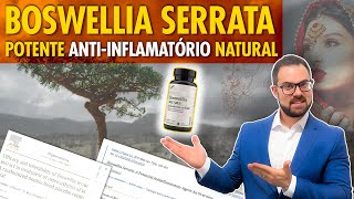 BOSWELLIA SERRATA quais os BENEFÍCIOS e COMO USAR com segurança [upl. by Petersen]