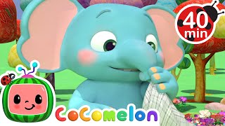 The Sneezing Song  CoComelon  Learning Videos For Kids  Education Show For Toddlers [upl. by Eehsar]