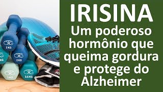 Irisina Um hormônio que queima gordura e protege do mal de Alzheimer  Dr Marco Menelau [upl. by Ekihc972]