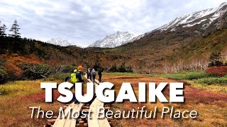 Tsugaike Nature Park The Most Beautiful Place  Things to do in Japan Autumn [upl. by Kennet]