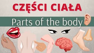 Części ciała po angielsku  PARTS OF THE BODY in English [upl. by Ettessil]