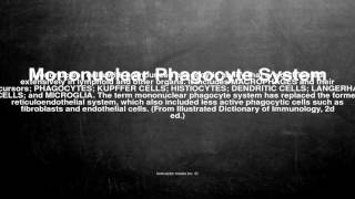 Medical vocabulary What does Mononuclear Phagocyte System mean [upl. by Itirp]