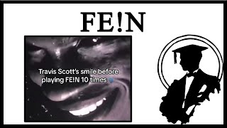 Fein Is A Meme [upl. by Knowling]