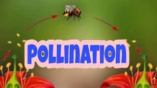 Pollination  Types Of Pollination  How do organism Reproduce [upl. by Mcdonald132]