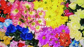 Is Tropical  Dancing Anymore [upl. by Worra]