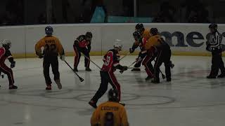 2024 IFBA World Broomball Championships Mens Final [upl. by Annawaj374]