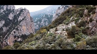 Trail Quillan 2022 [upl. by Tiras]