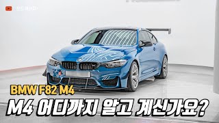 F바디 M4 S55 엔진의 특징부터 하체까지│BMW F82 M4 헤리티지 에디션│MODE [upl. by Ynaffik304]