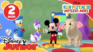 Klub przyjaciół Myszki Miki  Urodziny Minnie Oglądaj tylko w Disney Junior [upl. by Oicatsana514]