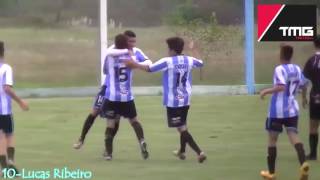 Lucas Ribeiro Highlights 20162017 [upl. by Berkeley238]