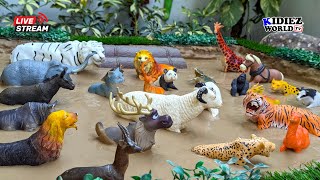 Herbivores Carnivores and Omnivores Animals for Kids Live Stream 8 Hours  Kidiez World TV [upl. by Lothar]