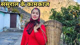 गौरी देवर जी के साथ डाला क्यारी में गोबर  Preeti Rana  Pahadi lifestyle vlog  Triyuginarayan [upl. by Adnole]