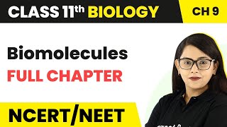 Biomolecules  Full Chapter Explanation  Class 11 Biology Chapter 9 [upl. by Spillihp]