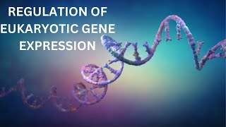 68 peroxisome hypertriglyceridemia and fibrate [upl. by Akiehsat]