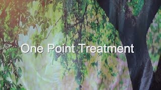 Ancient Remedies Treatment for Anemia  One Point Treatment [upl. by Aihsetan590]