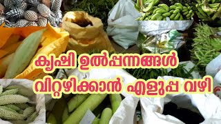 കാർഷിക വിപണി Organic Agricultural Market  Karshika Vipani Krishi Lokam [upl. by Pedrick]