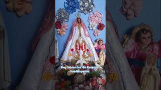 Apertura de los 46 Rosarios Guadalupanos [upl. by Sobel151]