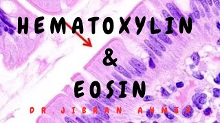 HEMATOXYLIN AND EOSIN STAINING II BASIC TISSUE PROCESSING TECHNIQUES II DR JIBRAN AHMED [upl. by Nale958]