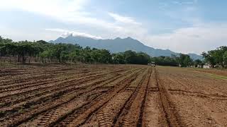 Siembra de Maíz ciclo PV 2022 Villaflores Chiapas [upl. by Herrah292]