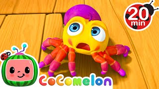 Why is Itsy Bitsy Spider Scared LOOP  Animal Adventures  CoComelon Nursery Rhymes amp Kids Songs [upl. by Hannahs]