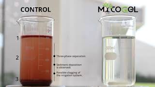 Is Mycogel as soluble as we say it is [upl. by Retsbew]