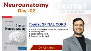 Neuroanatomy  Spinal Cord Gross Anatomy 2 For Mbbs 1st Proff By Dr Abhijeet [upl. by Rombert]