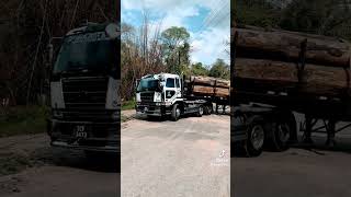 Prostar transport automobile constructionvehicle trucking downtheroadwego [upl. by Joette]