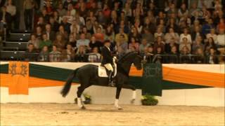 Fairmont Hill  Trakehner Galaschau 2014  Neumünster [upl. by Valdes941]