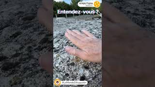 Lénigme des fausses pierres  archéologie science [upl. by Trainer]