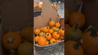 maastricht friday market farmersmarket freshfruits cheese autumn october [upl. by Madea884]