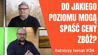 Ceny zbóż spadają Sprzedawać czy czekać Czy będą rekompensaty dla rolników Rolniczy temat 34 [upl. by Kreit]