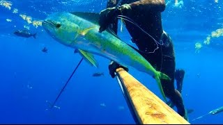 Carls Guns The Désirade Part One Spearfishing [upl. by Asyar]