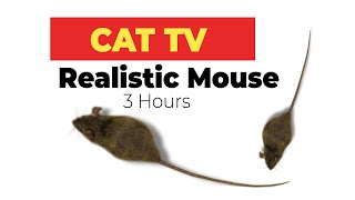 CAT GAMES  Realistic Mouse HD  3 HOURS Video for Cats amp Dogs to watch [upl. by Haveman819]