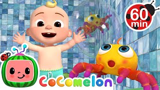 The Incredible Itsy Bitsy Spider  CoComelon  Animals for Kids  Sing Along  Learn about Animals [upl. by Hackathorn]