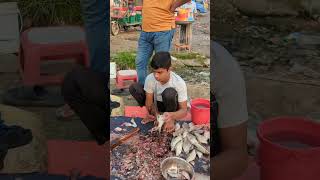 Amazing Big Poti Fish Super First Cutting fish fishcutting youtubeshorts [upl. by Arva536]