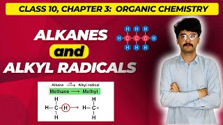 Alkanes and Alkyl radicals  CLASS 10 CHAPTER 3  MMK CHEMISTRY [upl. by Bibi]