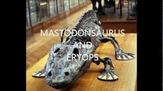 Primitive Amphibians Mastodonsaurus and Eryops [upl. by Matless409]