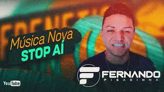 FERNANDO PISADINHA  MÚSICAS NOVAS 2K24 [upl. by Araf797]