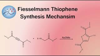 Fiesselmann Thiophene Synthesis Mechanism  Organic Chemistry [upl. by Elumas]