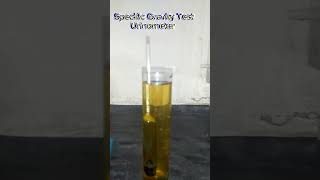 UrinometerSpecific GravityUrine TestSpGUrine specific gravitypracticle Urinometerdemonstration [upl. by Silsby465]