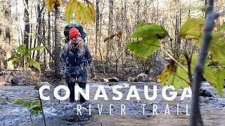 Hiking the Conasauga River Trail  Cohutta Wilderness [upl. by Millard540]