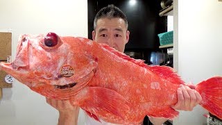 오로시영상일본 거대한 생선 회뜨기먹방 fillet giant fish for sashimi and eating show [upl. by Byrom]