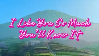 I Like You So MuchYoull Know It  Ysabelle Cuevas Lyrics [upl. by Efthim557]