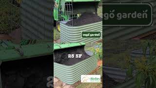 Vego Garden vs Birdies Raised Garden Bed Quick Review shorts epicgardening vegogarden [upl. by Ahsemrak]